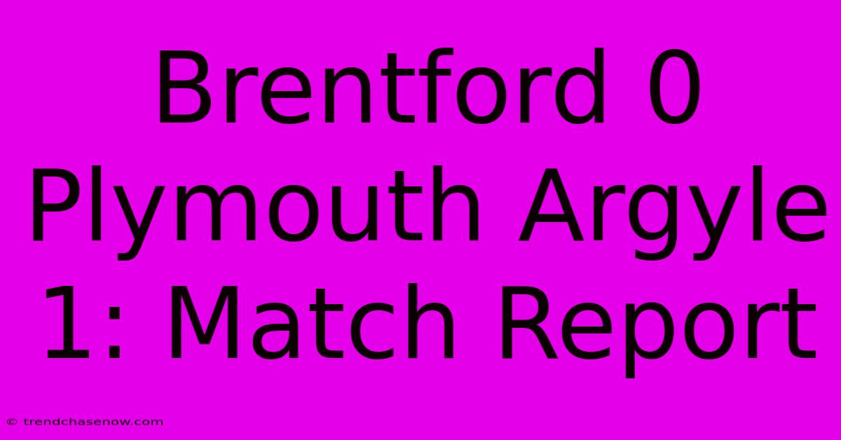 Brentford 0 Plymouth Argyle 1: Match Report