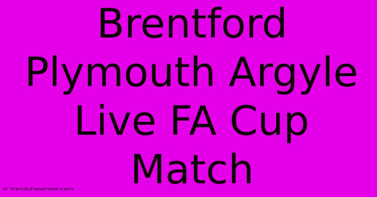 Brentford Plymouth Argyle Live FA Cup Match