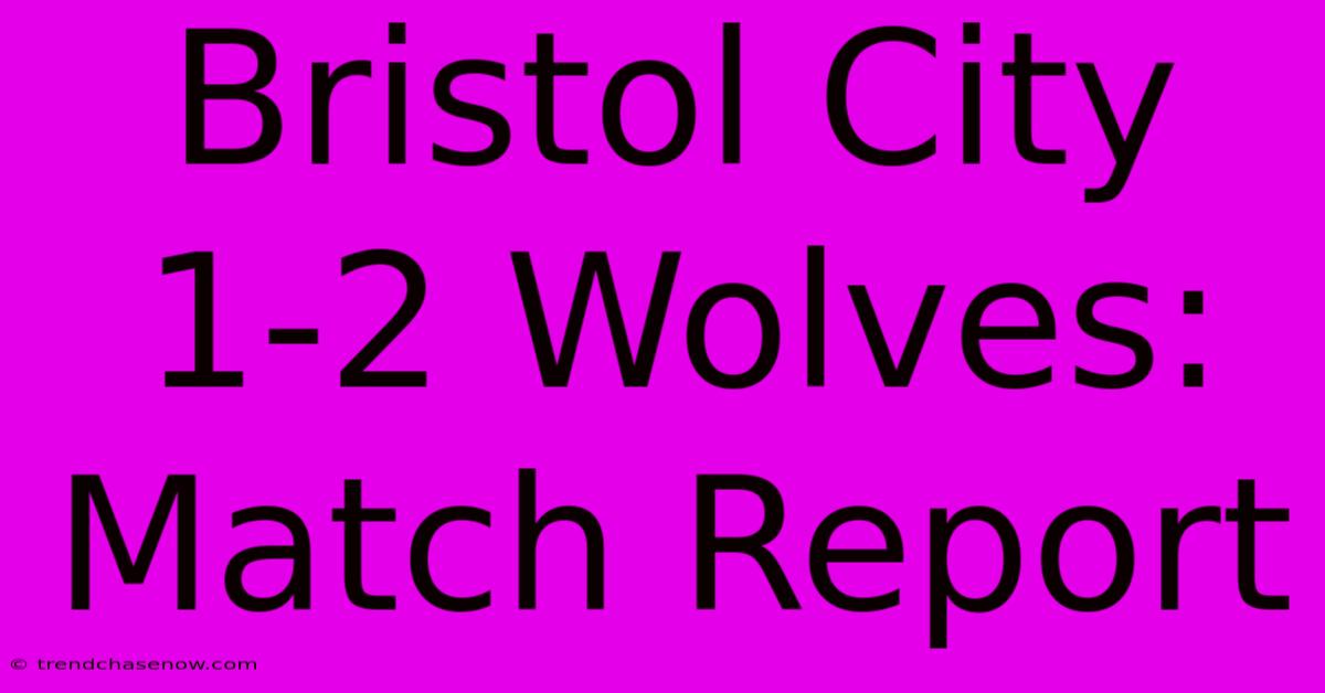 Bristol City 1-2 Wolves: Match Report