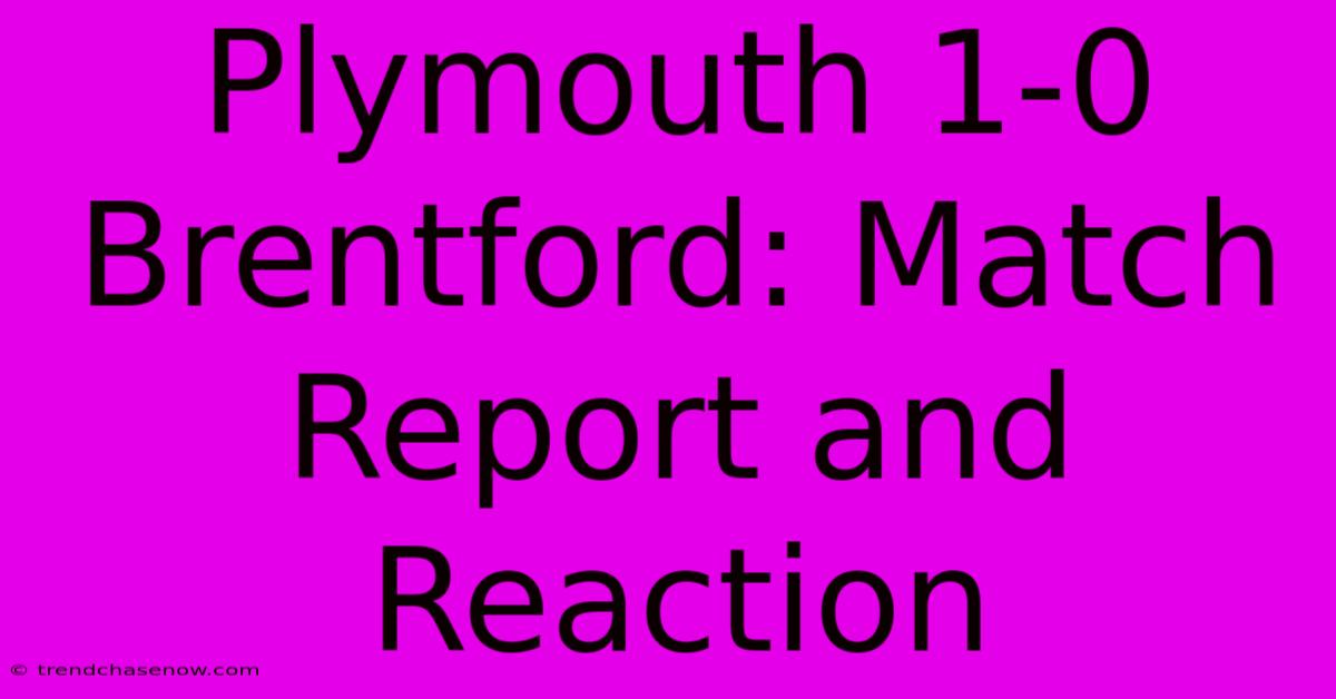 Plymouth 1-0 Brentford: Match Report And Reaction